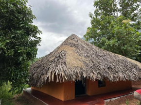 Jungle Farm House